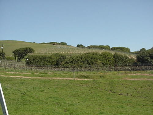 Point Reyes Vineyard Inn California City Luaran gambar