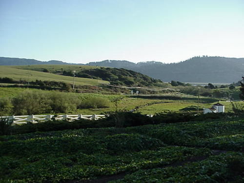 Point Reyes Vineyard Inn California City Luaran gambar