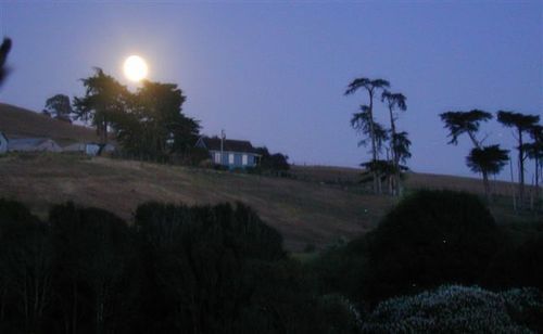 Point Reyes Vineyard Inn California City Luaran gambar