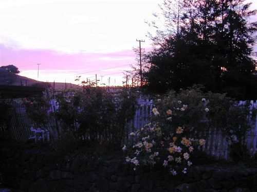 Point Reyes Vineyard Inn California City Luaran gambar