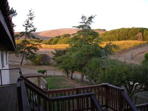 Point Reyes Vineyard Inn California City Luaran gambar