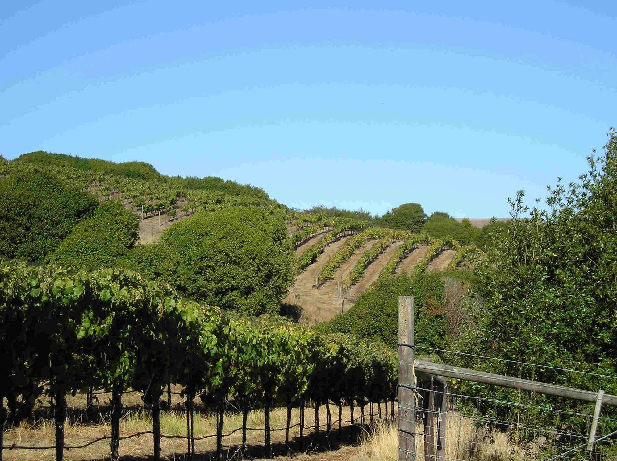 Point Reyes Vineyard Inn California City Luaran gambar